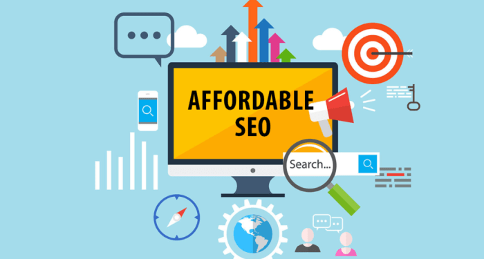 Guide to Affordable SEO Services for Small Businesses